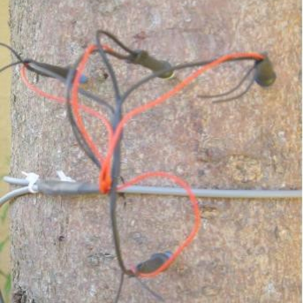 SF-L茎流（液流）传感器