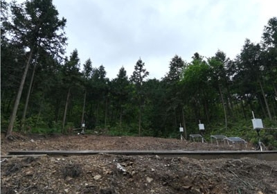 点将科技助力森林水文过程研究