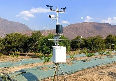 气象及土壤多参数监测系统在芒果树林地的应用