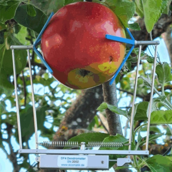 DF水果/蔬菜生长测量传感器