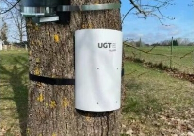 茎干液流+生长数据：读懂树木水分与生长的“双引擎”