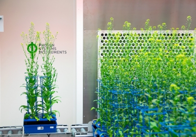 第四届植物与藻类综合表型学会议